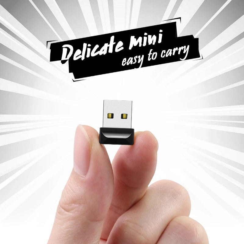 Mini USB Drive