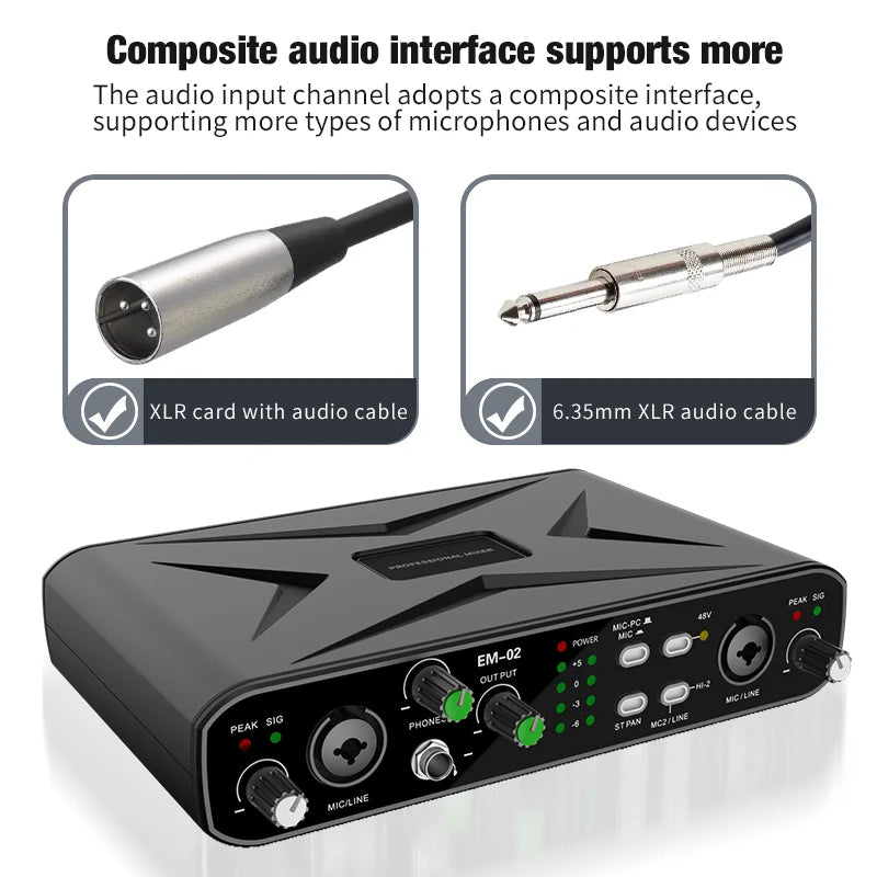 Professional Audio Interface