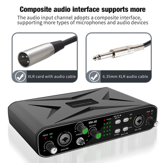 Professional Audio Interface