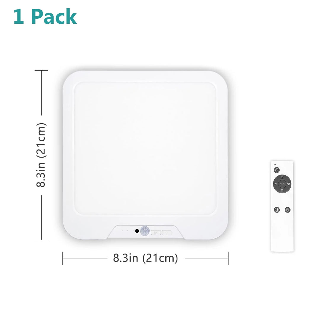 Smart Ceiling Light