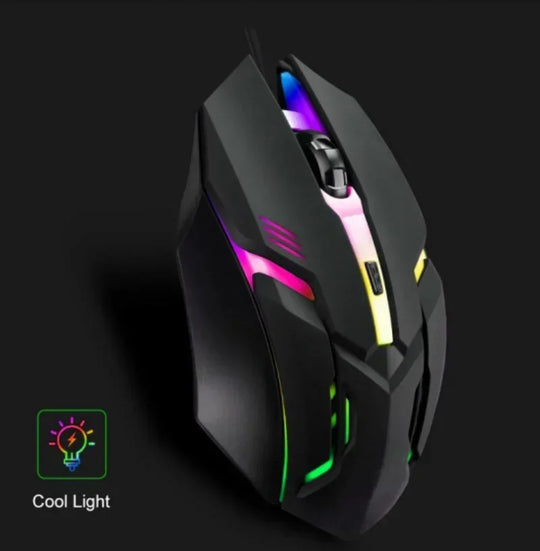 Ergonomic RGB Mouse