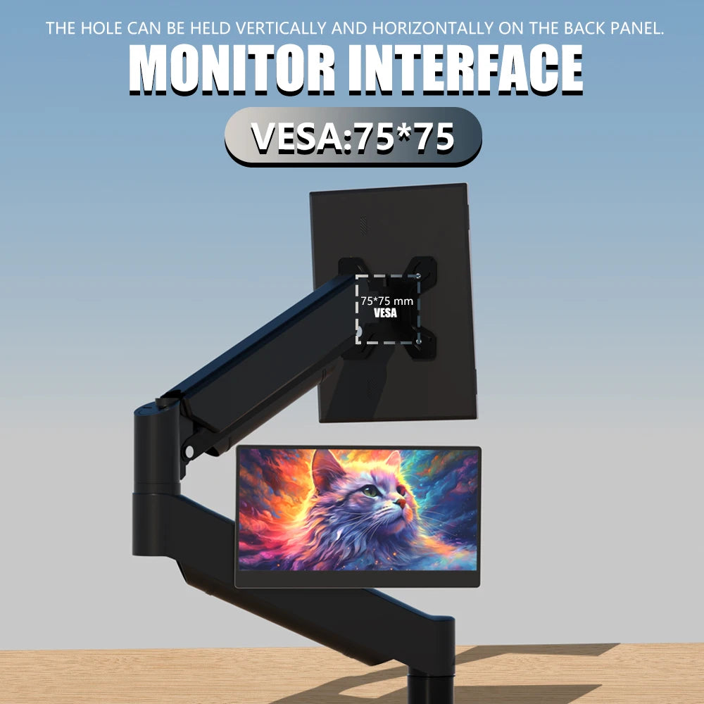 Mini Laptop Monitor