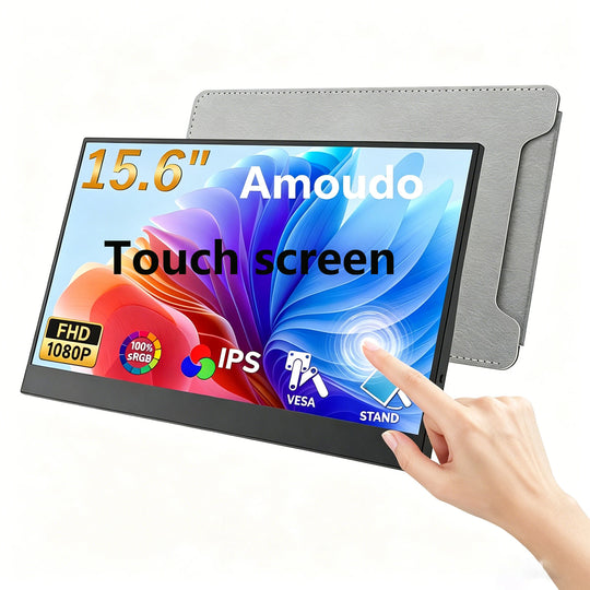 VESA Portable Monitor