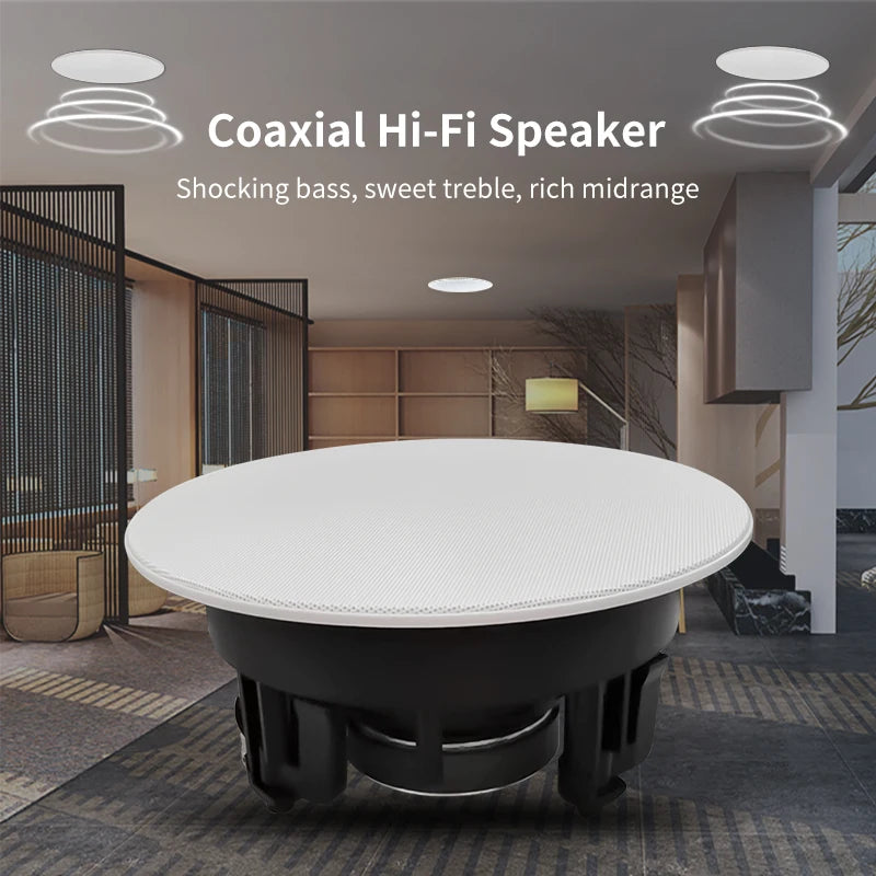 Ceiling Speaker System
