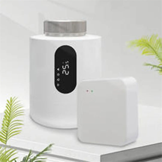 Zigbee Smart Gateway