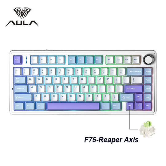 Wireless Mechanical Keyboard