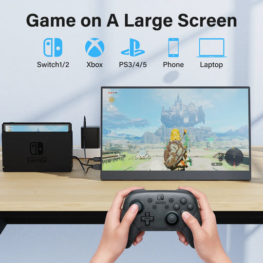 VESA Portable Monitor