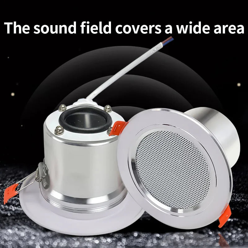 Ceiling Speaker System