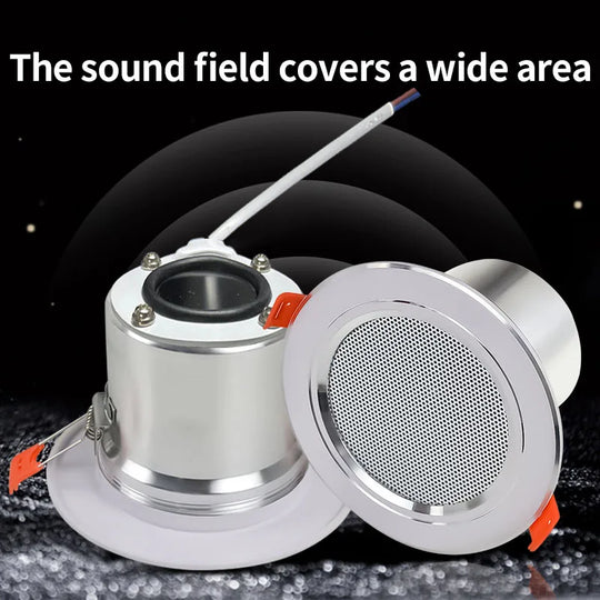 Ceiling Speaker System