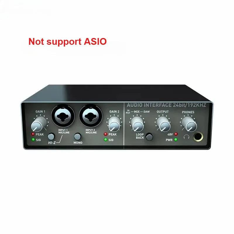 USB Audio Interface