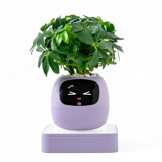 AI Garden Planter