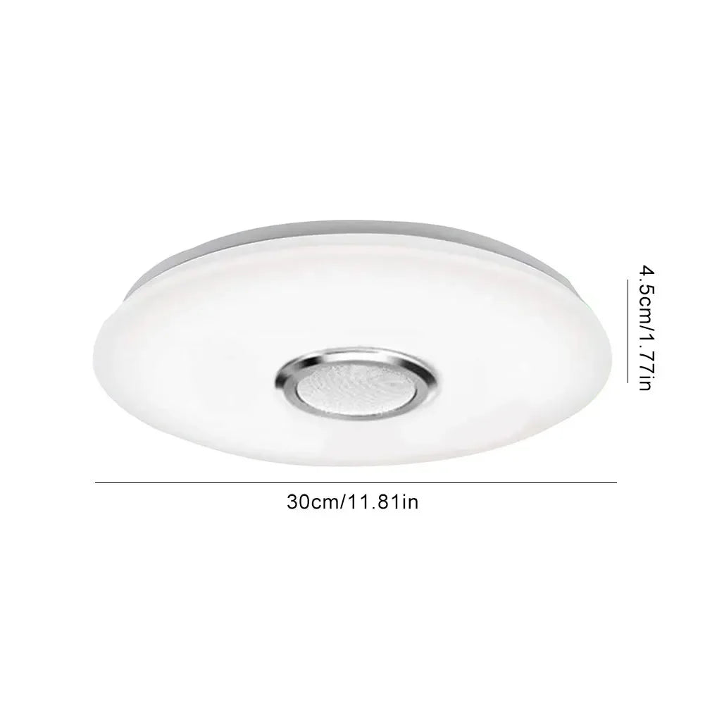 Smart RGB Ceiling Light