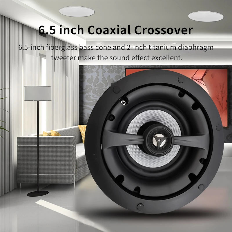 Ceiling Speaker System