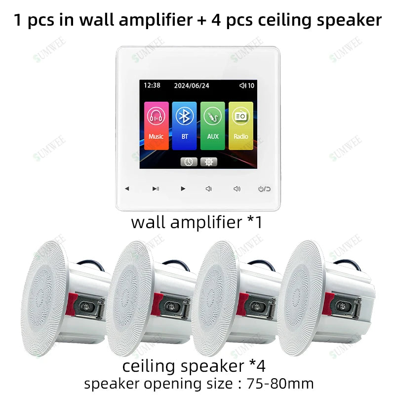 Bluetooth Audio System