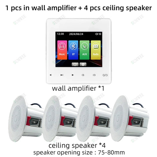 Bluetooth Audio System