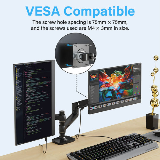 VESA Portable Monitor