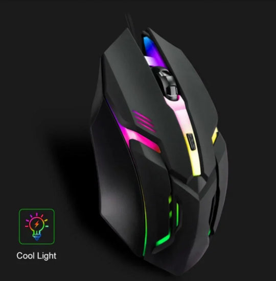 Ergonomic RGB Mouse