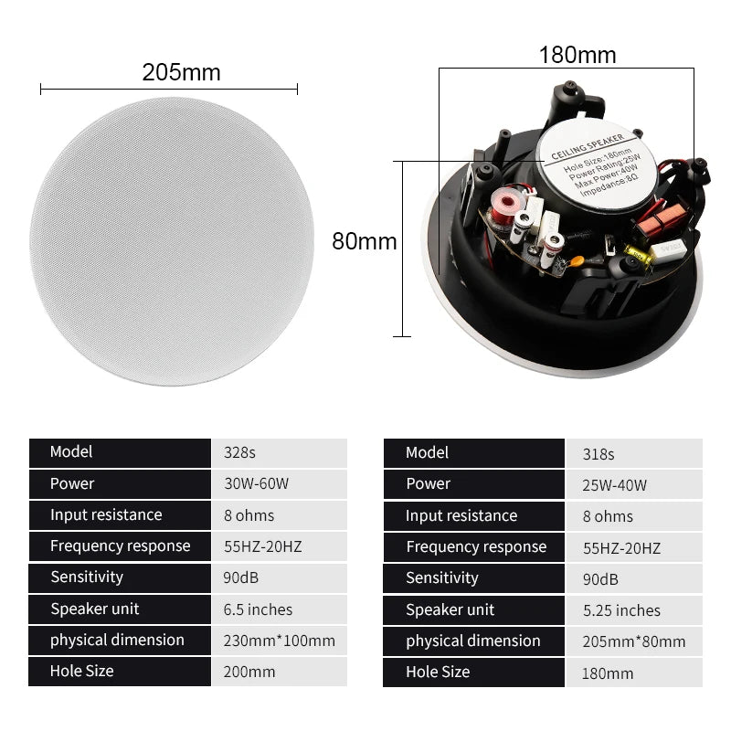 Ceiling Speaker System