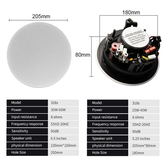 Ceiling Speaker System