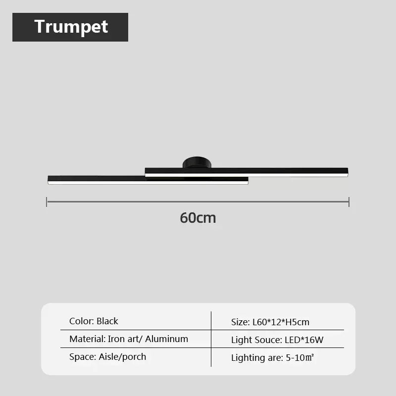Modern Ceiling Light