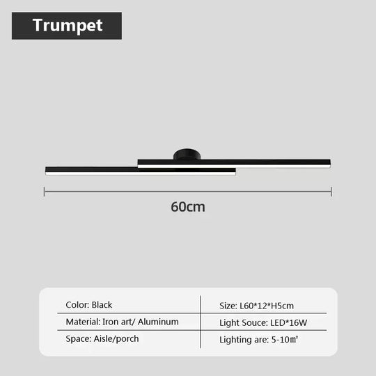 Modern Ceiling Light