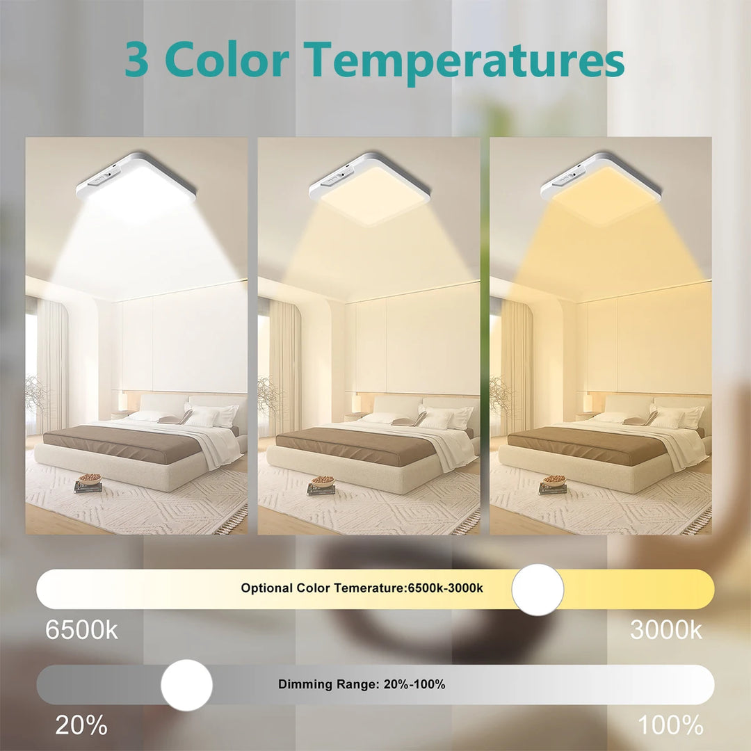 Smart Ceiling Light