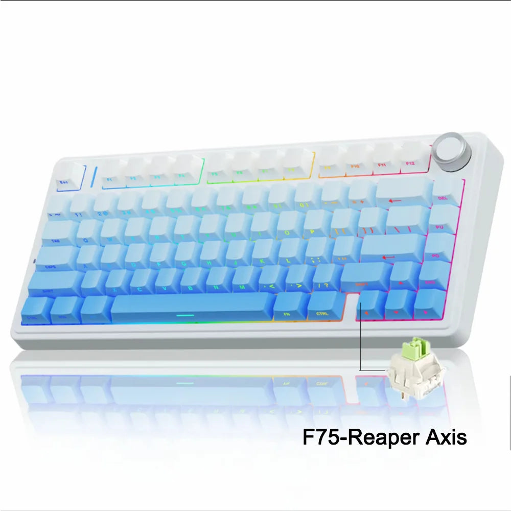 Wireless Mechanical Keyboard