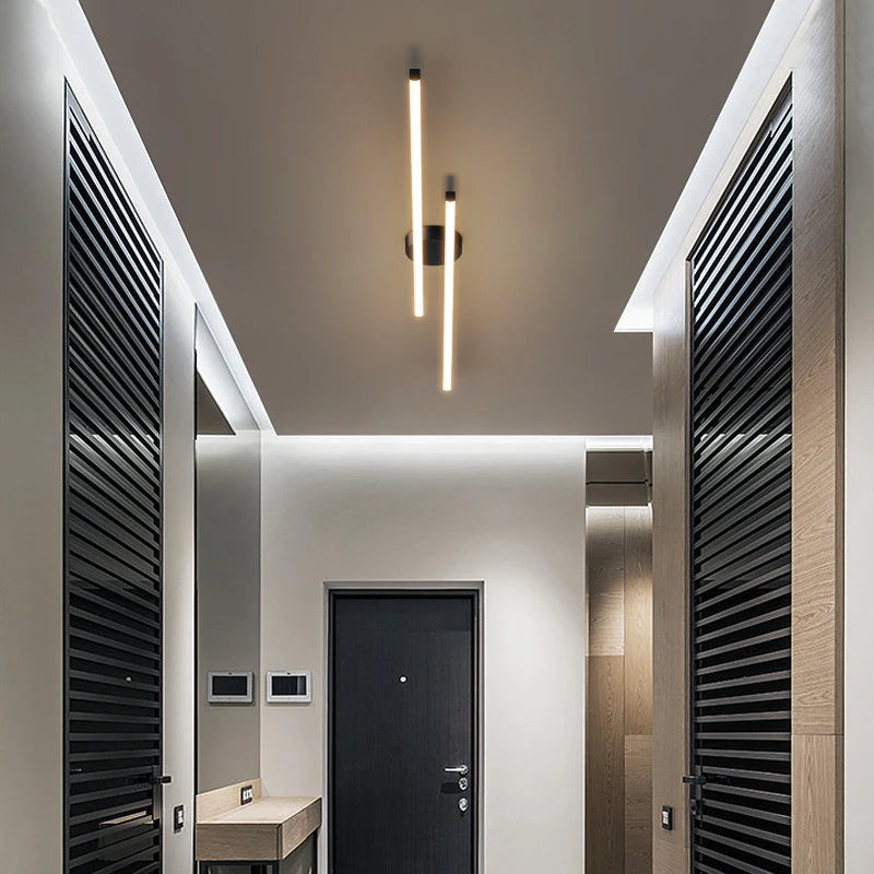 Modern Ceiling Light