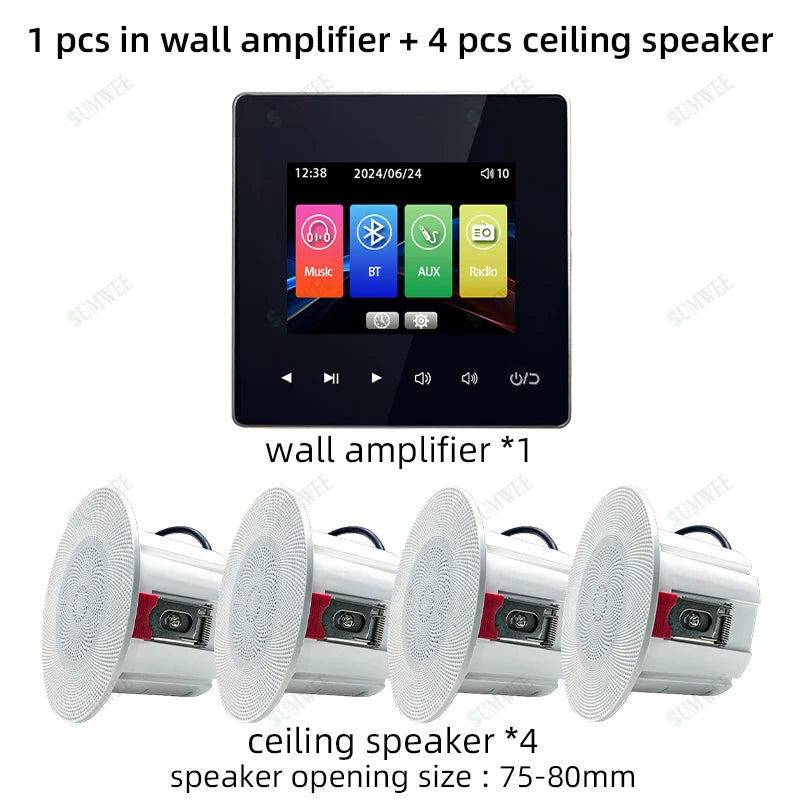 Bluetooth Audio System