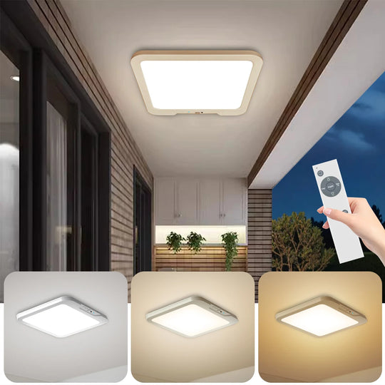 Smart Ceiling Light