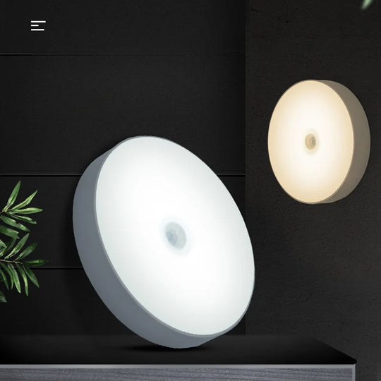 Automatic Night Light