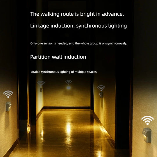 Wireless Lighting Pro