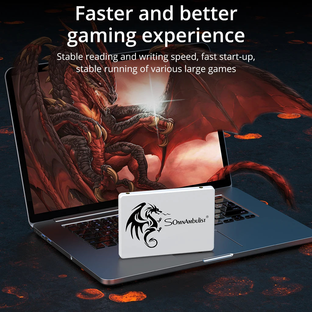 Laptop SSD Upgrade