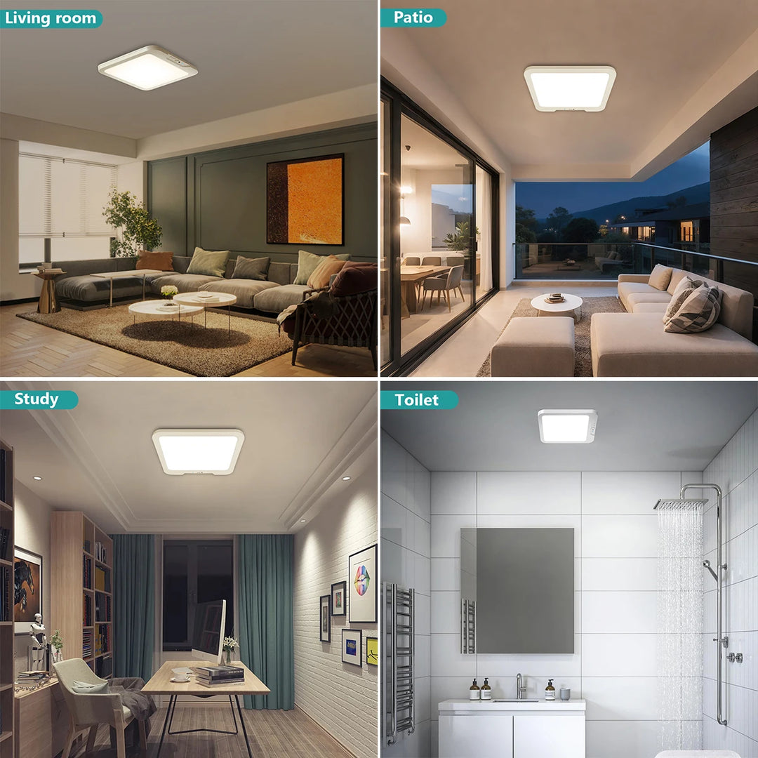 Smart Ceiling Light