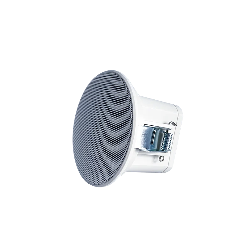 Ceiling Speaker