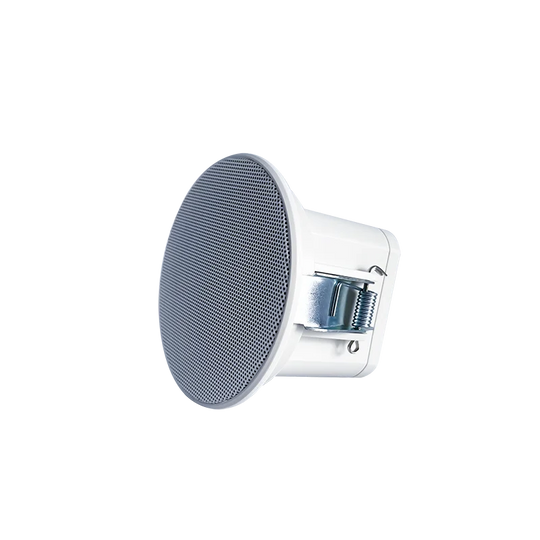 Ceiling Speaker