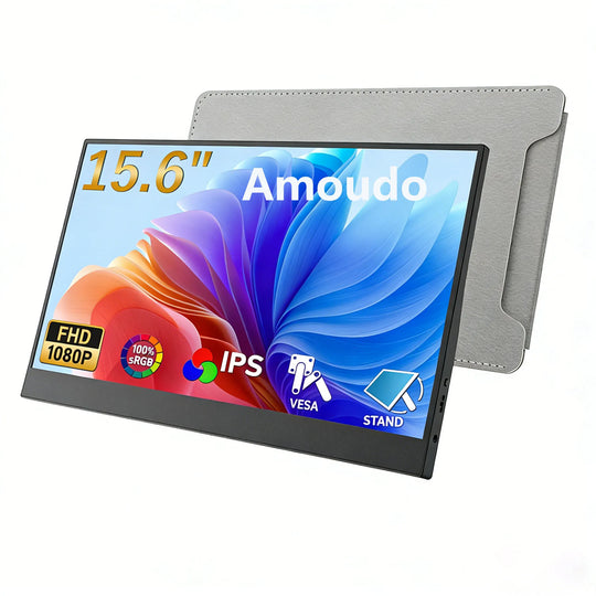 VESA Portable Monitor