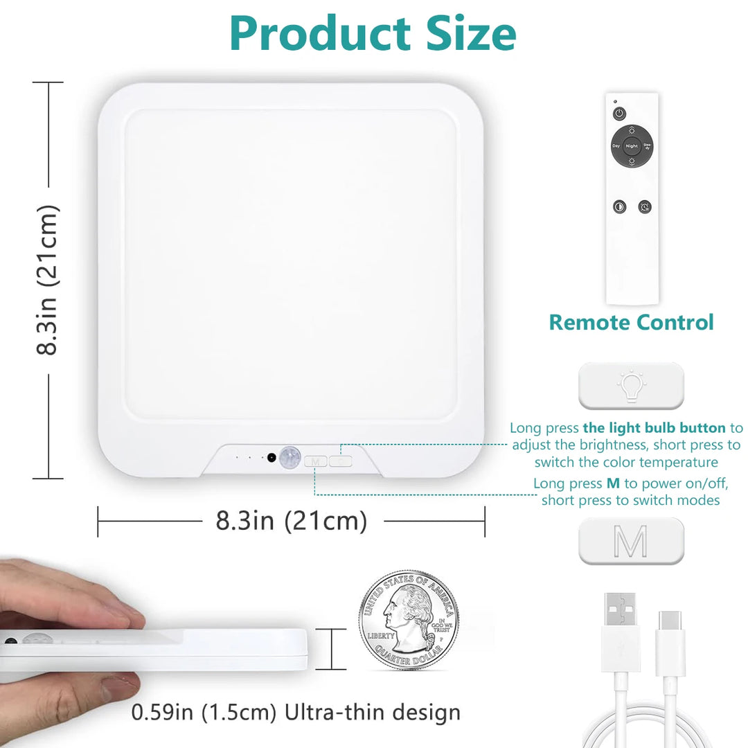 Smart Ceiling Light