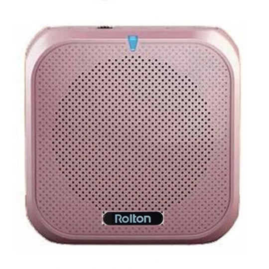 Voice Amplifier Mic