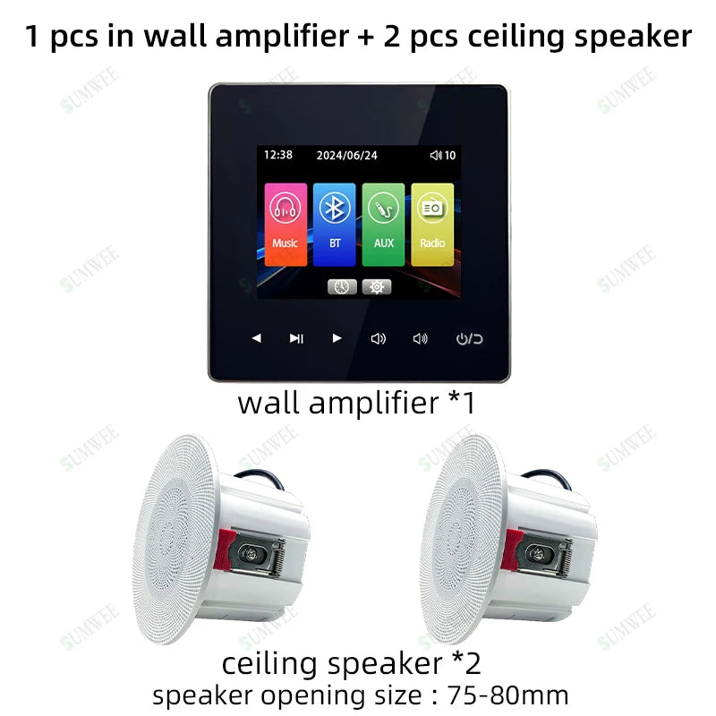 Bluetooth Audio System
