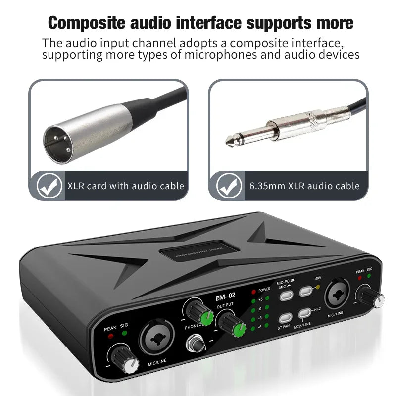 Studio Audio Interface