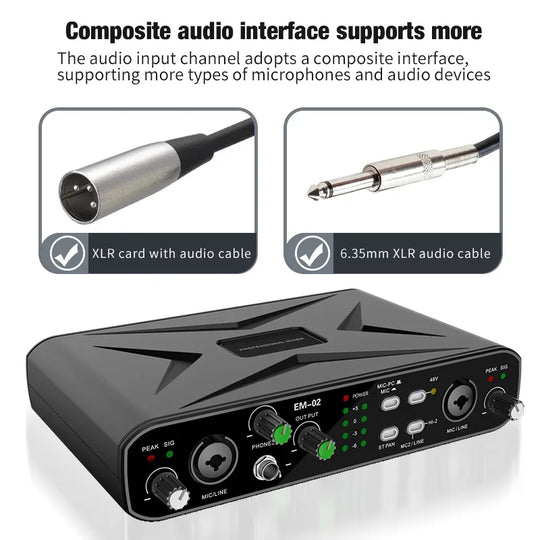 Studio Audio Interface