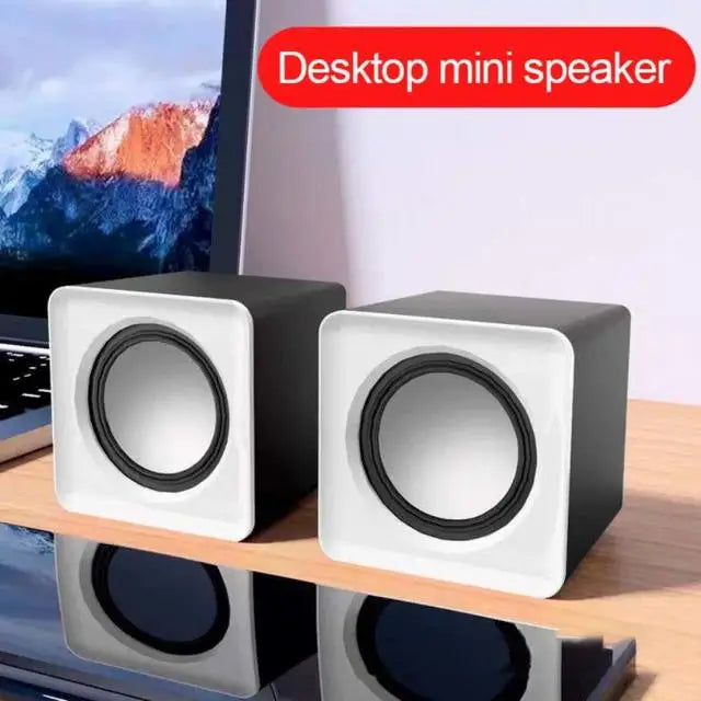 Computer Speakers