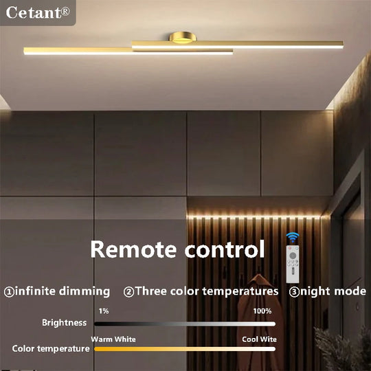 Modern Ceiling Light