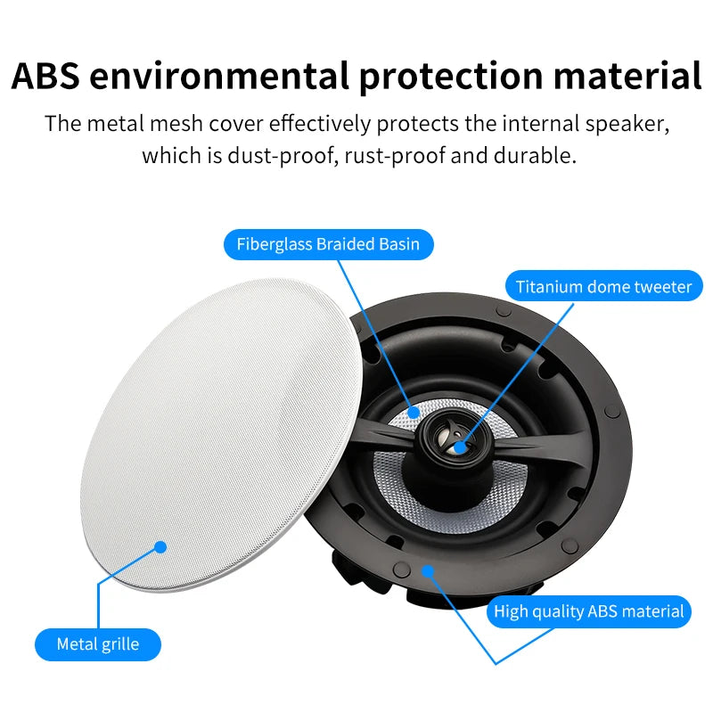 Ceiling Speaker System