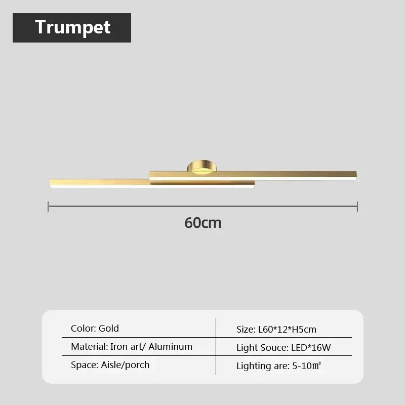 Modern Ceiling Light