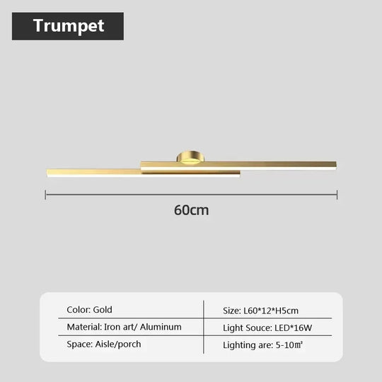 Modern Ceiling Light