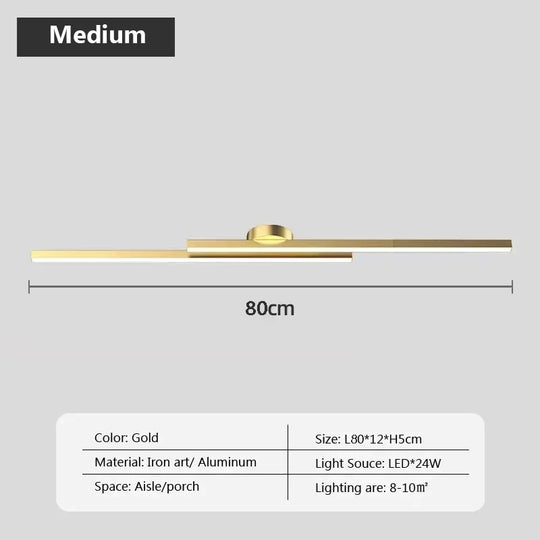 Modern Ceiling Light