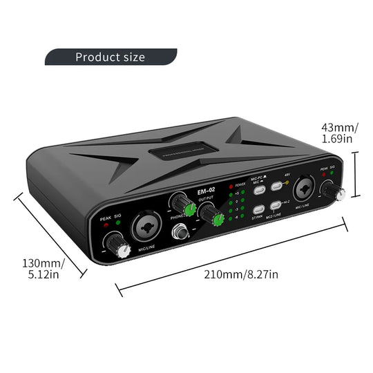 Professional Audio Interface