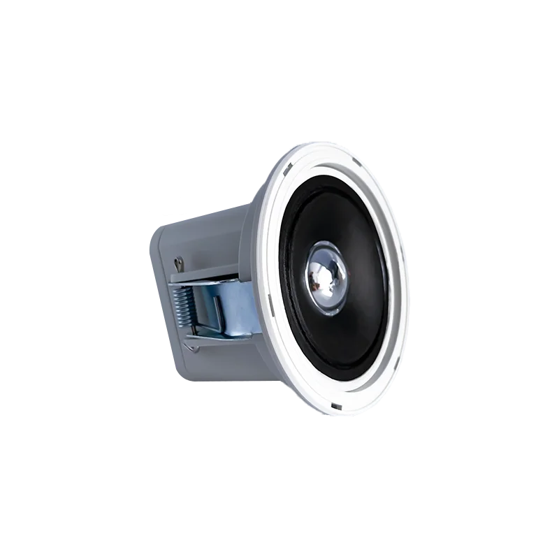 Ceiling Speaker